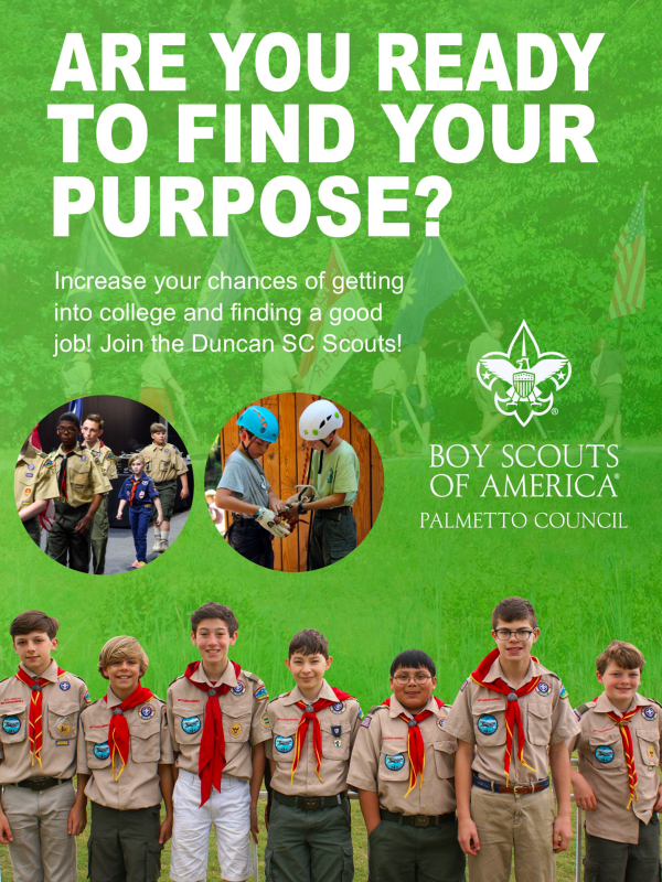 scouts